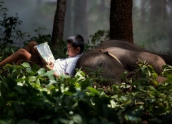 Oparty o leżące słoniątko chłopiec czyta książkę
