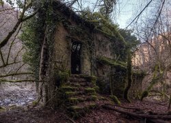 Opuszczony stary dom