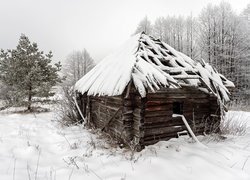 Zima, Śnieg, Drzewa, Drewniana, Szopa, Domek