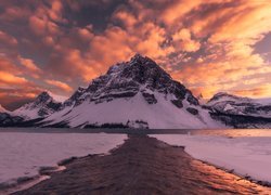 Jezioro, Bow Lake, Park Narodowy Banff, Góry, Szczyt, Crowfoot Mountain, Alberta, Kanada