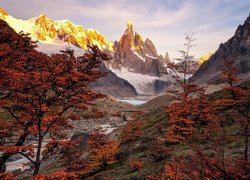 Ośnieżona góra Fitz Roy i drzewa na skałach