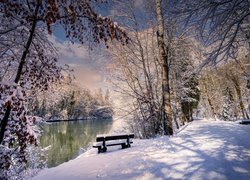 Ośnieżona ławka i drzewa nad rzeką