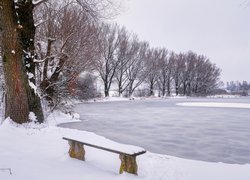 Ośnieżona ławka i drzewa w śniegu nad zamarzniętym jeziorem