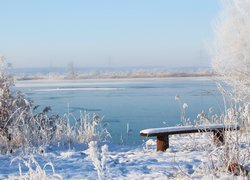 Ośnieżona ławka i rośliny nad jeziorem