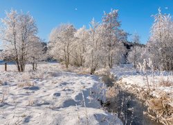 Ośnieżona trawa i drzewa nad rzeczką