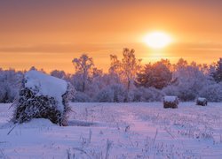 Ośnieżone bele słomy w śniegu na polu o zachodzie słońca