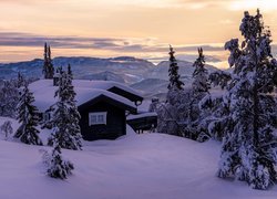 Zima, Góry, Domy, Drzewa, Śnieg, Valdres, Norwegia