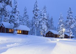 Zima, Śnieg, Domy, Drzewa, Latarnie