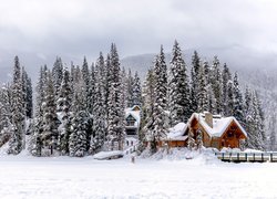 Zima, Park Narodowy Yoho, Dom, Most, Góry, Drzewa, Ośnieżone, Kanada