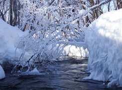 Ośnieżone drzewa i brzegi rwącej rzeki