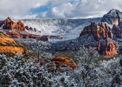 Góry, Skały, Śnieg, Drzewa, Sedona, Arizona, Stany Zjednoczone