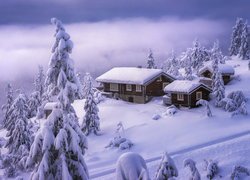 Zima, Ośnieżone, Drzewa, Domy, Valdres, Norwegia