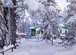 Zima, Dom, Droga, Drzewa, Śnieg