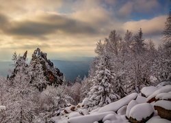 Zima, Ośnieżone, Drzewa, Krzewy, Kamienie, Las, Góra, Park Narodowy Taganaj, Obwód czelabiński, Rosja