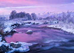 Ośnieżone drzewa i kamienie nad rzeką