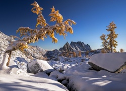 Zima, Góry, Drzewa, Kamienie