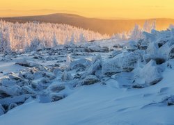 Zima, Góry, Ośnieżone, Drzewa, Kamienie, Słoneczny, Dzień