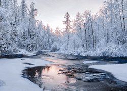 Ośnieżone drzewa i lód na rzece