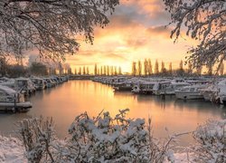 Ośnieżone drzewa i łodzie na przystani Sawley Marina