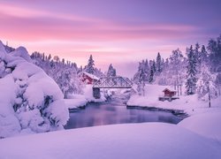 Zima, Rzeka, Heddola River, Most, Młyn, Heddal mill, Ośnieżone, Drzewa, Gmina Hjartdal, Norwegia