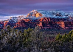 Czerwone, Skały, Drzewa, Sedona, Stan Arizona, Stany Zjednoczone