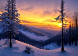 Zima, Drzewa, Wzgórza, Mgła, Śnieg, Niebo, Zachód słońca, Góry
