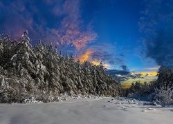 Zima, Drzewa, Śnieg, Zachód słońca