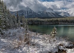 Ośnieżone drzewa nad górskim jeziorem Herbert Lake w Parku Narodowym Banff