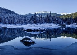 Zima, Jezioro Caumasee, Las, Drzewa, Góry, Szwajcaria