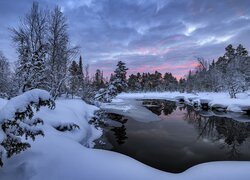 Ośnieżone drzewa nad jeziorem na Półwyspie Kolskim w Rosji