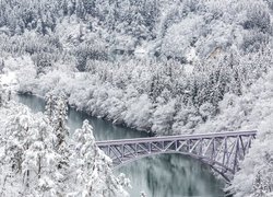 Ośnieżone drzewa nad rzeką i most Tadami River Bridge