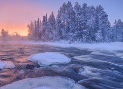 Zima, Las, Ośnieżone, Drzewa, Rzeka Kolvitsa, Półwysep Kolski, Obwód murmański, Rosja