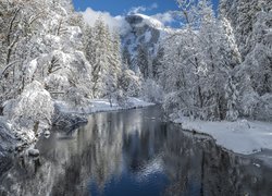 Zima, Drzewa, Rzeka, Merced River, Park Narodowy Yosemite, Kalifornia, Stany Zjednoczone