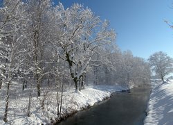 Ośnieżone drzewa nad rzeką pod błękitnym niebem