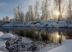 Ośnieżone drzewa nad rzeką w słoneczny dzień