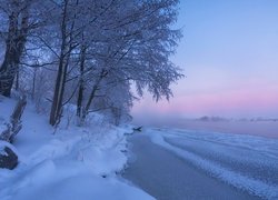 Ośnieżone drzewa nad zamgloną rzeką