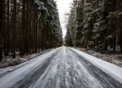 Droga, Las, Śnieg, Drzewa, Zima