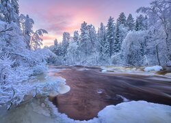 Ośnieżone drzewa po obu stronach rzeki pod kolorowym niebem