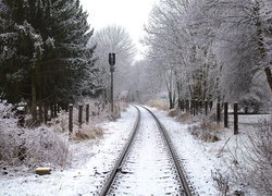 Ośnieżone drzewa po obu stronach torów kolejowych