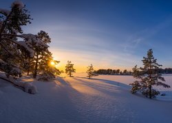 Zima, Ośnieżone, Drzewa, Zachód słońca, Kotka, Finlandia