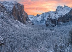 Park Narodowy Yosemite, Kalifornia, Stany Zjednoczone, Zima, Drzewa, Skały, Góra El Capitan