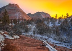 Park Narodowy Zion, Stan Utah, Stany Zjednoczone, Zima, Śnieg, Drzewa, Wzgórza