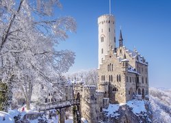 Zima, Drzewa, Zamek Lichtenstein, Niemcy