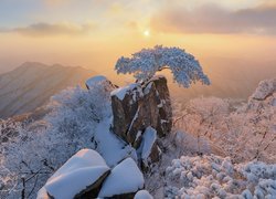 Zima, Wschód słońca, Góry, Skały, Ośnieżone, Drzewa, Sosna, Park Prowincjonalny Daedunsan, Prowincja Jeolla Północna, Korea Południowa