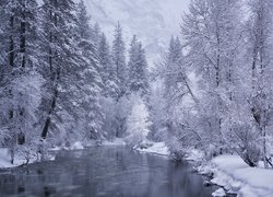 Zima, Rzeka, Drzewa, Śnieg, Czarno-białe