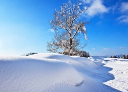 Zima, Drzewo, Śnieg, Zaspy