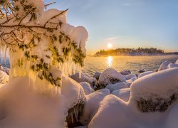 Zima, Jezioro Ładoga, Ośnieżone, Drzewa, Sople, Wschód słońca, Republika Karelii, Rosja