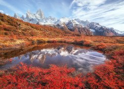 Argentyna, Patagonia, Kałuża, Odbicie, Góry Andy, Szczyt Fitz Roy, Kolorowa, Roślinność, Jesień