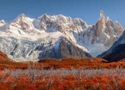 Argentyna, Patagonia, Park Narodowy Los Glaciares, El Chalten, Góry, Cerro Torre, Ośnieżone, Jesień, Roślinność