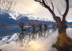 Ośnieżone góry i bezlistne drzewa w rzece Dart River w Nowej Zelandii